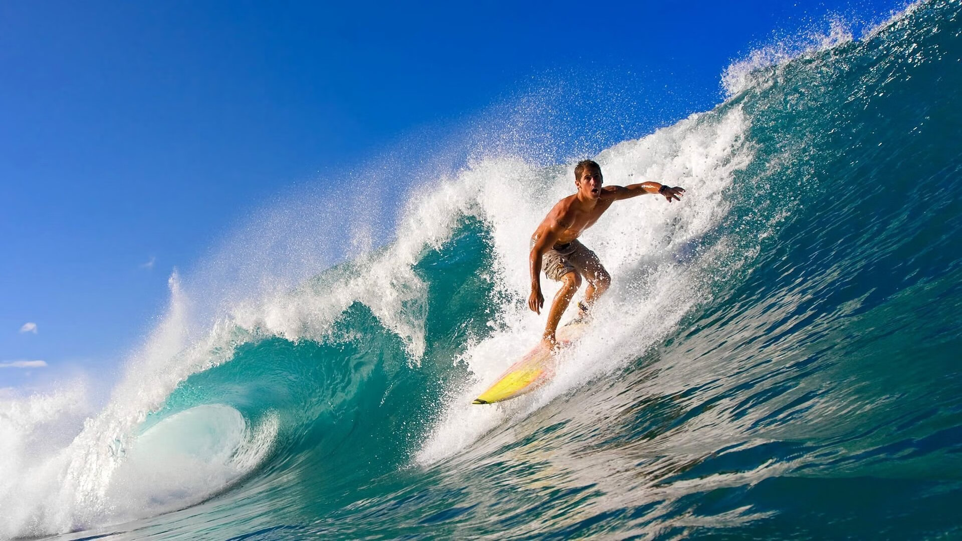 广州龙狮队逆转取胜，展现强大韧性，广州龙狮是哪个球队