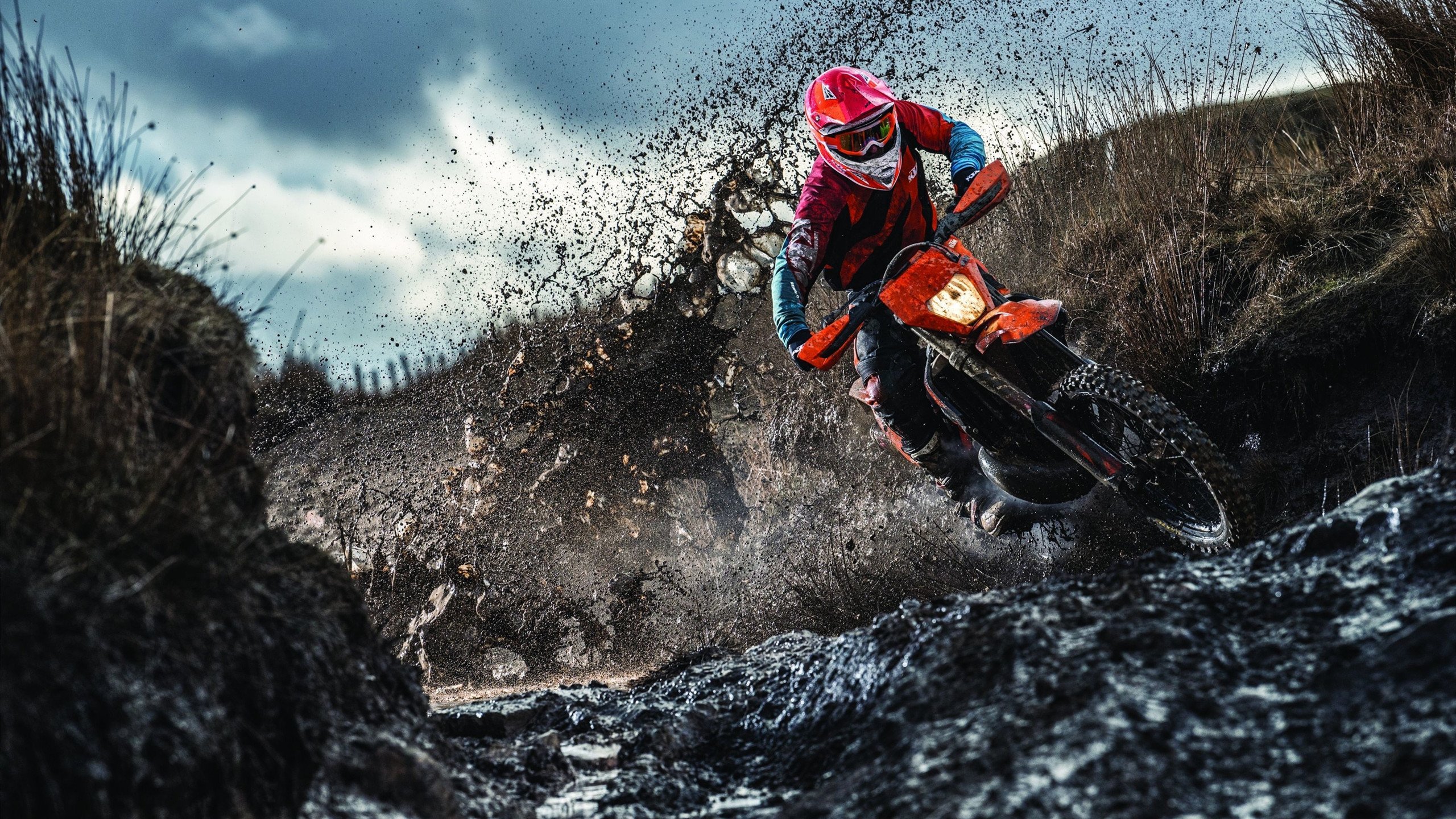 武术表演邀您体验传统文化的奥秘，武术文化传承